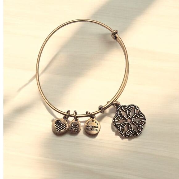 Alex & Ani Rafelian Gold Endless Love Knot Bangle Bracelet - Picture 1 of 4